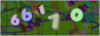 This is a captcha-picture. It is used to prevent mass-access by robots. (see: www.captcha.net)